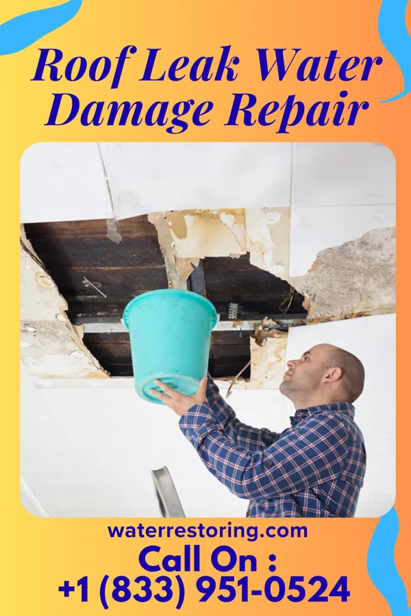 Roof Leak Water Damage Repair in Little Meadows, PA