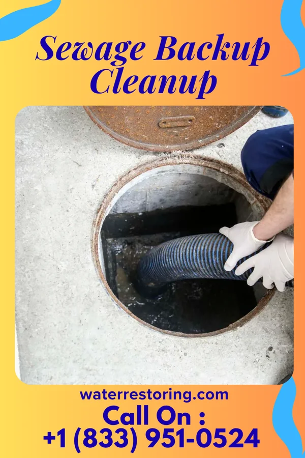 Sewage Backup Cleanup in Little Meadows, PA