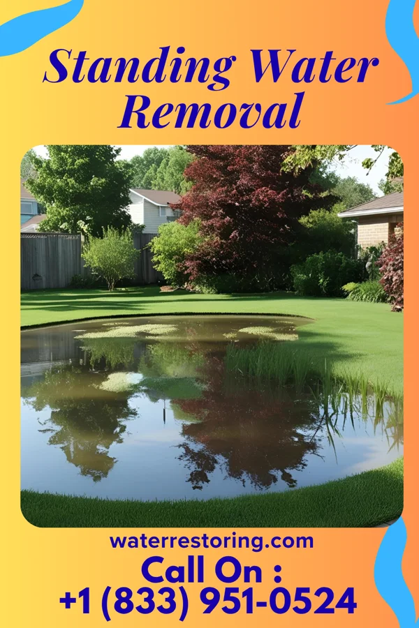 Standing Water Removal in Little Meadows, PA
